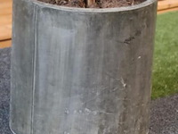 Kunstplant in pot - ø 50cm x 225cm (h) - afbeelding 2 van  4