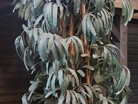 Kunstplant in pot - ø 50cm x 225cm (h) - afbeelding 3 van  4