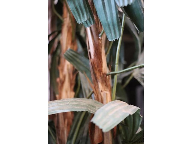 Kunstplant in pot - ø 50cm x 225cm (h) - afbeelding 4 van  4