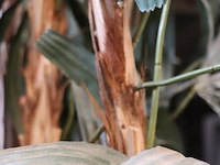 Kunstplant in pot - ø 50cm x 225cm (h) - afbeelding 4 van  4