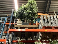 Kunstplant in pot (18x) - afbeelding 6 van  6