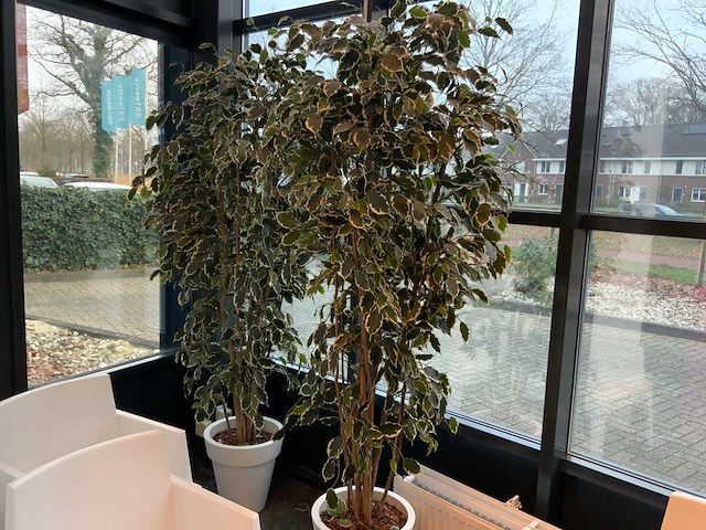 Kunstplant in pot (2x) - afbeelding 1 van  3