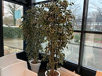 Kunstplant in pot (2x) - afbeelding 1 van  3