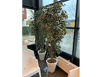 Kunstplant in pot (2x) - afbeelding 2 van  3