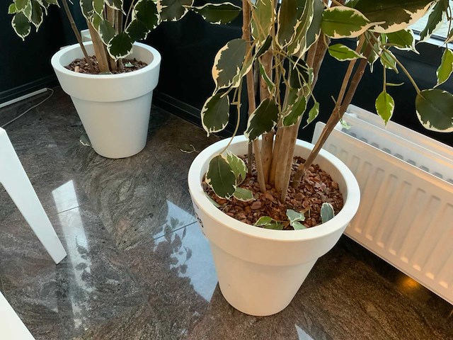Kunstplant in pot (2x) - afbeelding 3 van  3