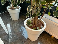 Kunstplant in pot (2x) - afbeelding 3 van  3