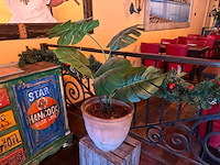 Kunstplant in pot (2x) - afbeelding 1 van  2