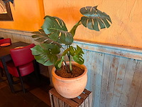 Kunstplant in pot (2x) - afbeelding 2 van  2