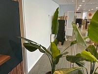 Kunstplant in pot (2x) - afbeelding 4 van  4