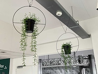 Kunstplant in pot (2x) - afbeelding 2 van  2