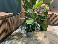 Kunstplant in pot (3x) - afbeelding 3 van  6