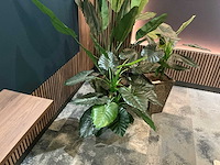 Kunstplant in pot (3x) - afbeelding 4 van  6