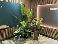 Kunstplant in pot (3x)