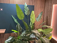 Kunstplant in pot (3x) - afbeelding 6 van  6