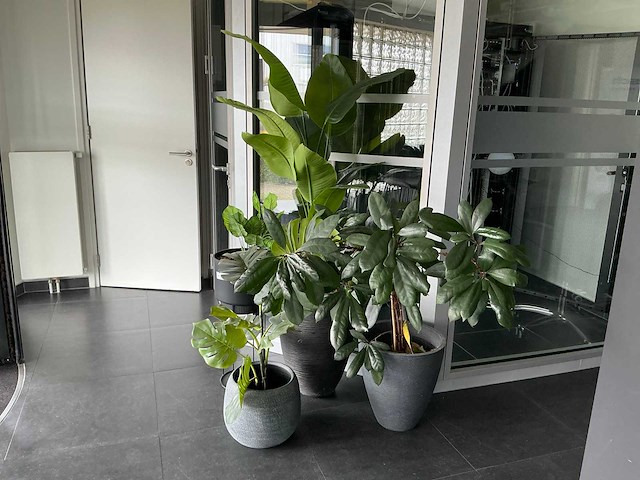 Kunstplant in pot (4x) - afbeelding 2 van  6