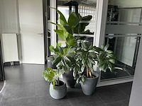 Kunstplant in pot (4x) - afbeelding 2 van  6
