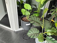 Kunstplant in pot (4x) - afbeelding 4 van  6