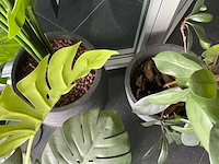 Kunstplant in pot (4x) - afbeelding 6 van  6