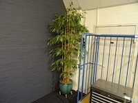 Kunstplant in pot (4x) - afbeelding 2 van  2
