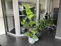 Kunstplant in pot (4x) - afbeelding 1 van  6