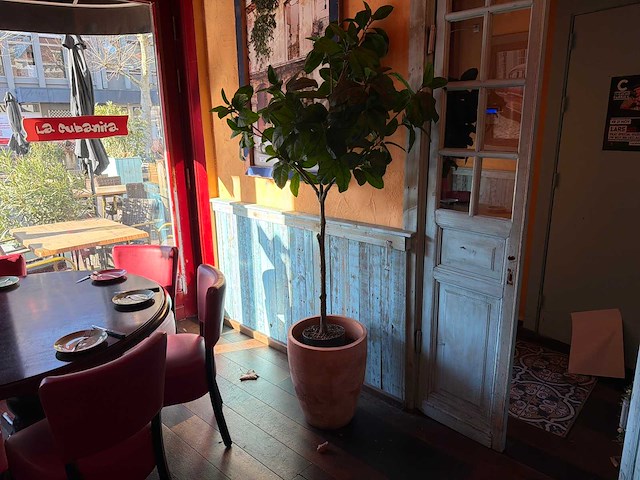 Kunstplant in pot (5x) - afbeelding 1 van  5