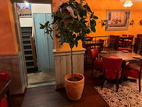 Kunstplant in pot (5x) - afbeelding 2 van  5