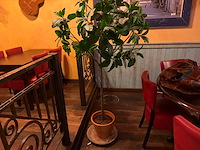 Kunstplant in pot (5x) - afbeelding 3 van  5