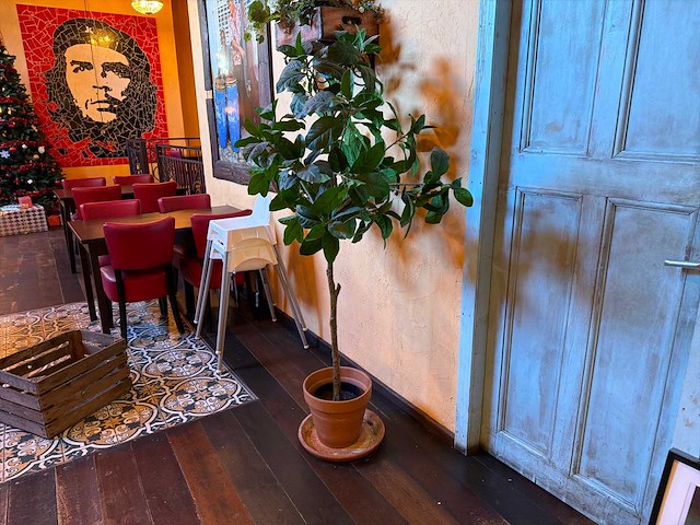 Kunstplant in pot (5x) - afbeelding 4 van  5