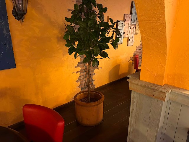 Kunstplant in pot (5x) - afbeelding 5 van  5