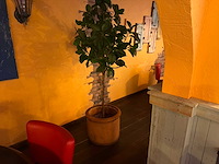 Kunstplant in pot (5x) - afbeelding 5 van  5