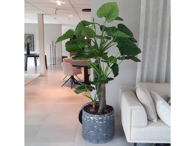 Kunstplant in pot colours&green, alocasia, calidora - afbeelding 1 van  9