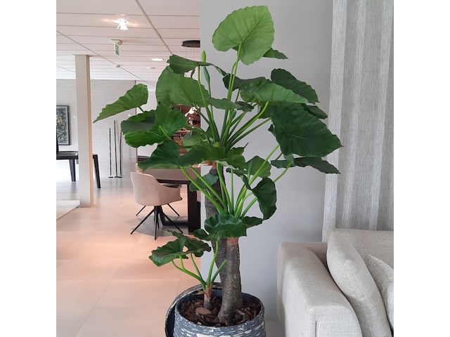 Kunstplant in pot colours&green, alocasia, calidora - afbeelding 2 van  9