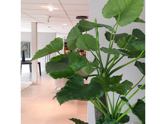 Kunstplant in pot colours&green, alocasia, calidora - afbeelding 3 van  9