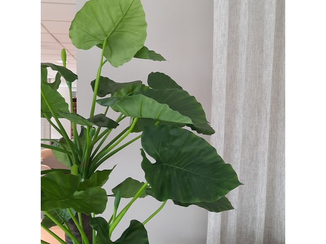 Kunstplant in pot colours&green, alocasia, calidora - afbeelding 4 van  9
