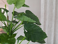 Kunstplant in pot colours&green, alocasia, calidora - afbeelding 4 van  9