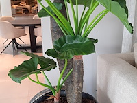 Kunstplant in pot colours&green, alocasia, calidora - afbeelding 5 van  9