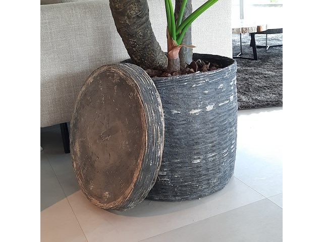 Kunstplant in pot colours&green, alocasia, calidora - afbeelding 7 van  9
