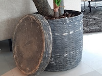 Kunstplant in pot colours&green, alocasia, calidora - afbeelding 7 van  9