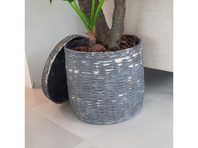 Kunstplant in pot colours&green, alocasia, calidora - afbeelding 8 van  9