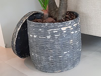 Kunstplant in pot colours&green, alocasia, calidora - afbeelding 8 van  9