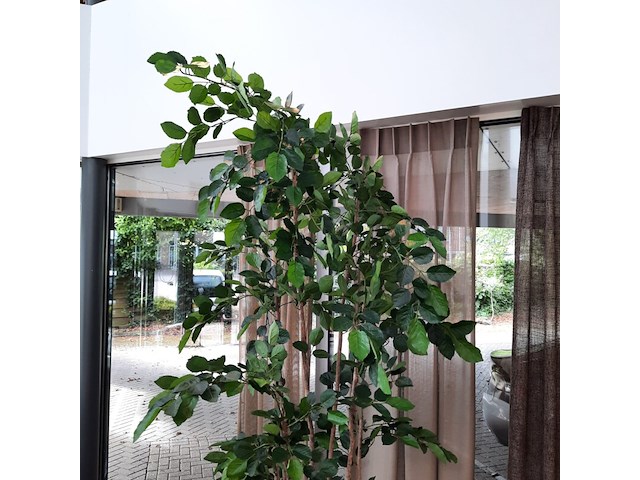 Kunstplant in pot colours&green, areca palm - afbeelding 4 van  19