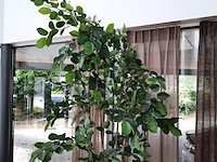 Kunstplant in pot colours&green, areca palm - afbeelding 4 van  19