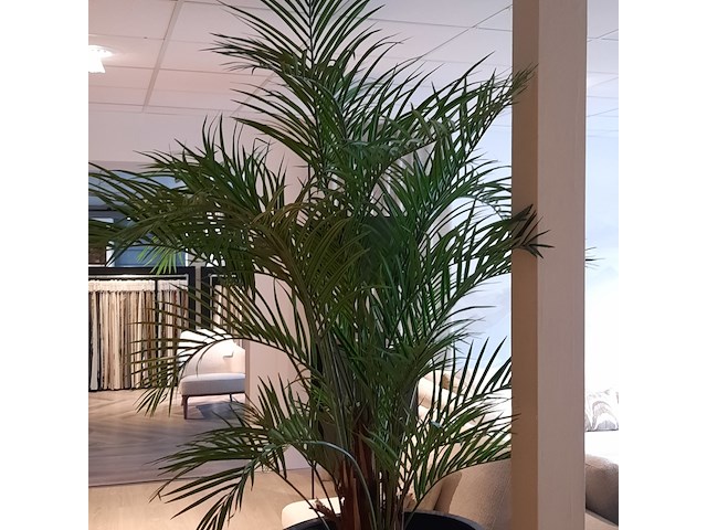 Kunstplant in pot colours&green, areca palm - afbeelding 7 van  19
