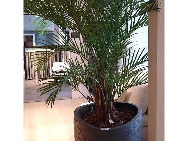 Kunstplant in pot colours&green, areca palm - afbeelding 8 van  19