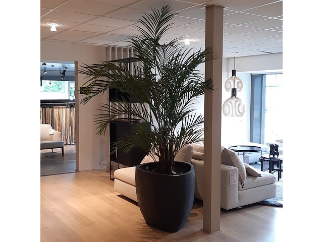 Kunstplant in pot colours&green, areca palm - afbeelding 1 van  19