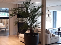 Kunstplant in pot colours&green, areca palm - afbeelding 1 van  19