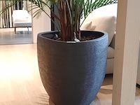 Kunstplant in pot colours&green, areca palm - afbeelding 16 van  19