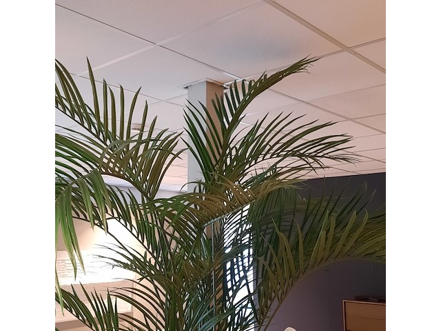 Kunstplant in pot colours&green, areca palm - afbeelding 18 van  19