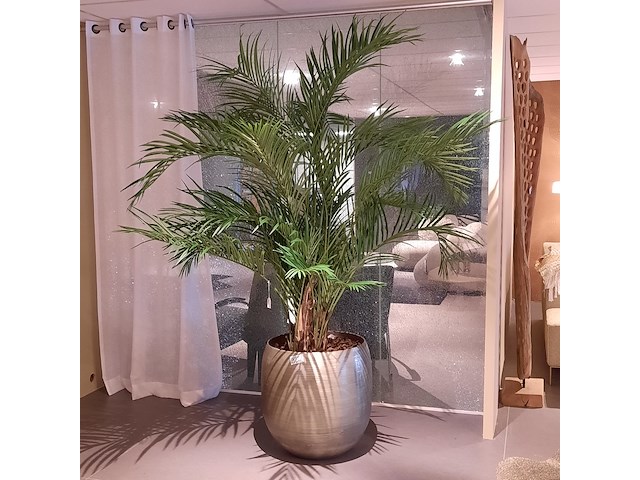 Kunstplant in pot colours&green, areca palm - afbeelding 1 van  6