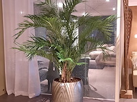 Kunstplant in pot colours&green, areca palm - afbeelding 1 van  6